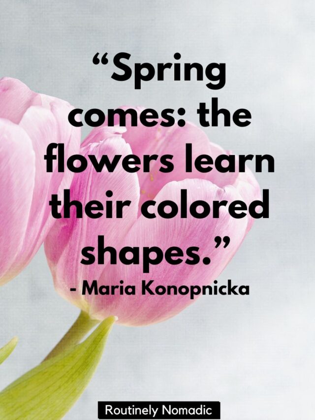 100 Bright Spring Flower Quotes Routinely Nomadic