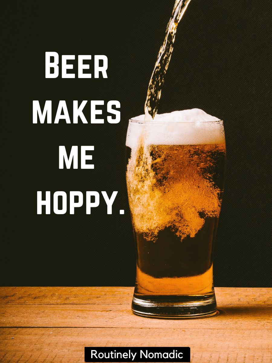 145 Frosty Beer Captions (Including Beer Puns!) Routinely Nomadic