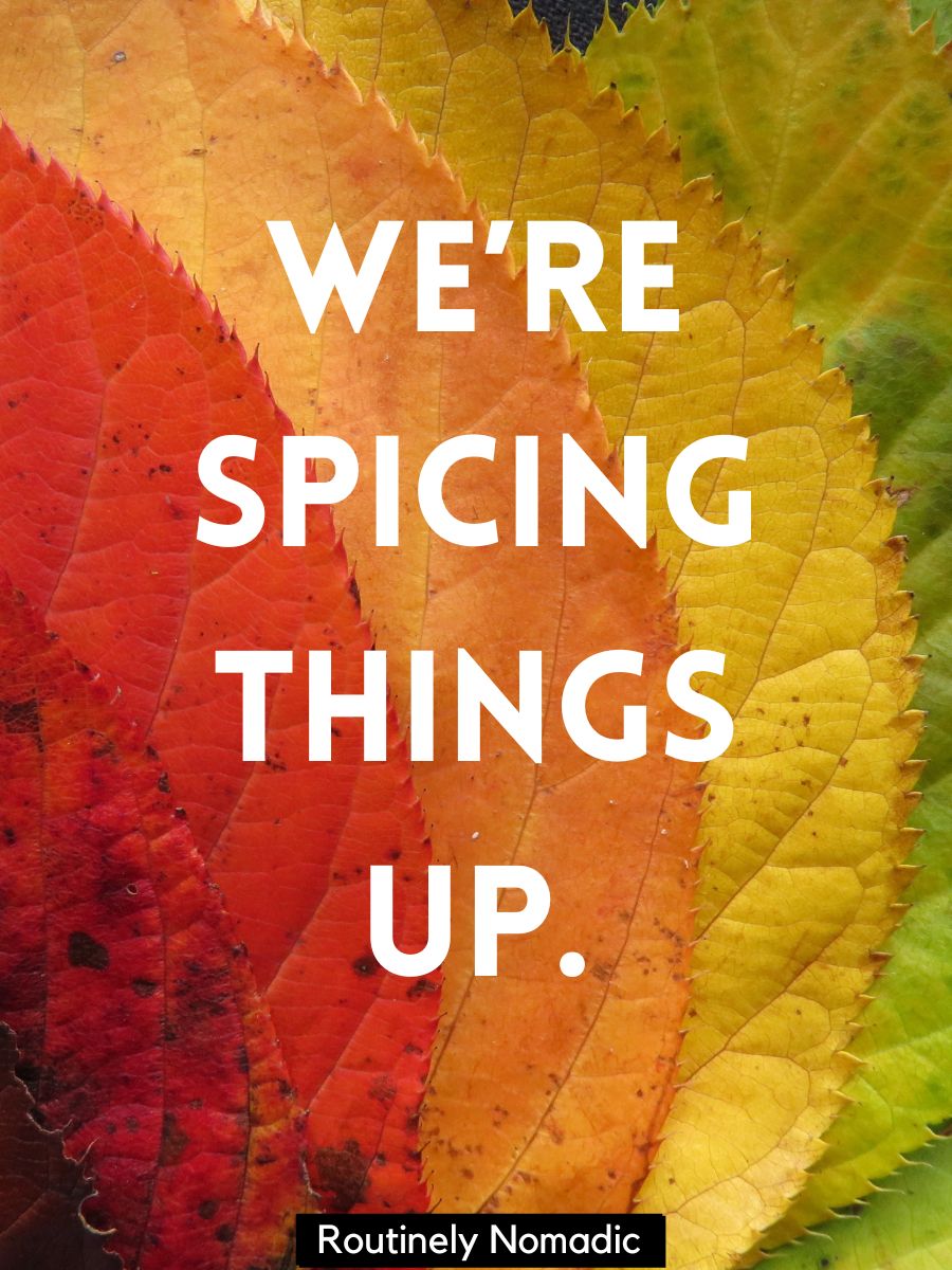 100 Cute Fall Couple Captions Routinely Nomadic