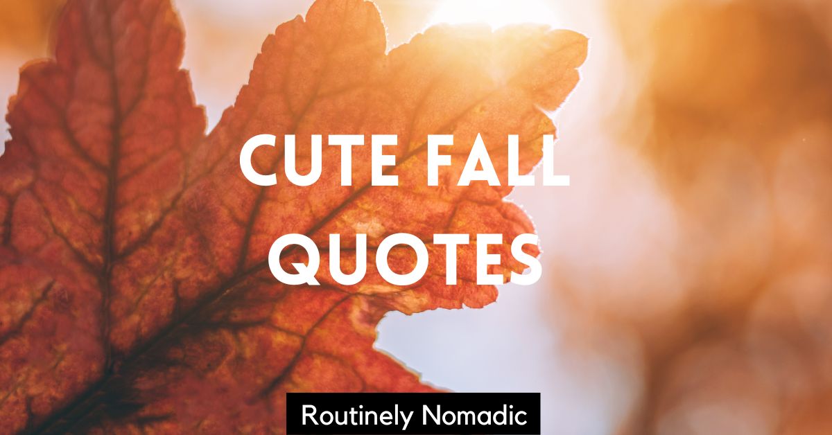 145 Cute Fall Quotes and Captions Routinely Nomadic
