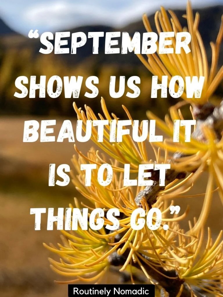 100 Hello September Quotes for that Happy to a New Month