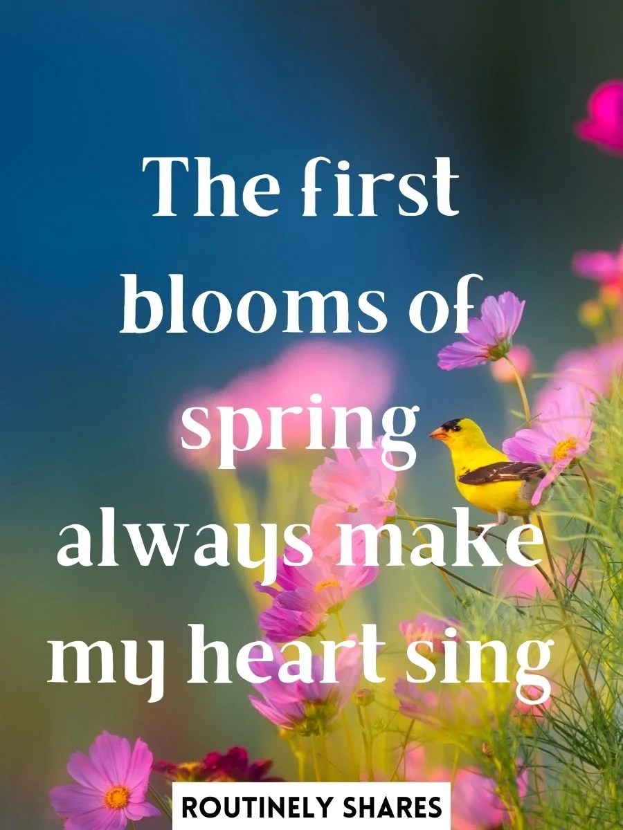 The 125 Best Spring Captions for Instagram for When the Flowers Bloom Routinely Shares