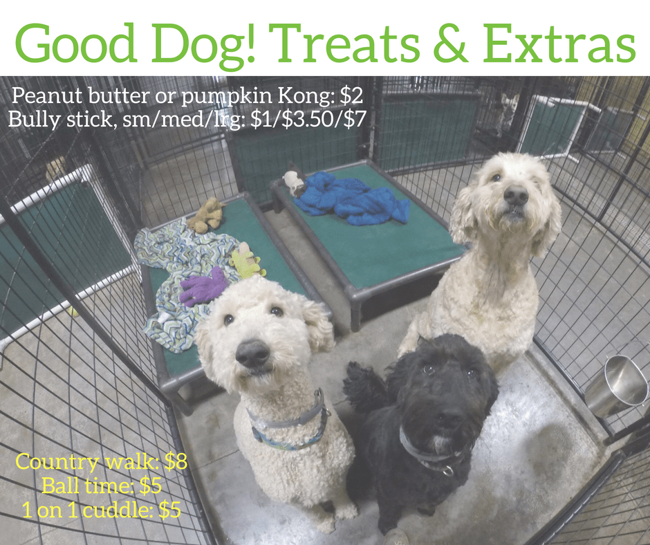 Rates Rover Stay Over