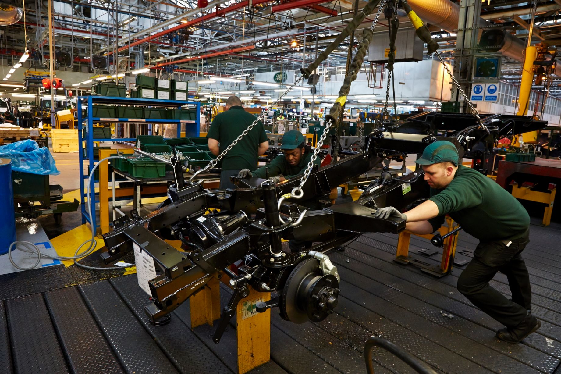 Solihull plant Alchetron, The Free Social Encyclopedia