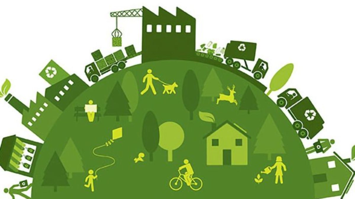 Jobs CFO Position Sustainable, Business Rowan Group