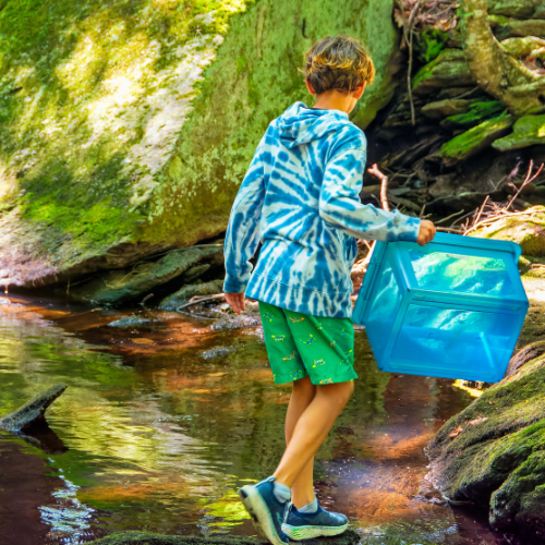 Rowe Summer Camp Task Force The Rowe Center