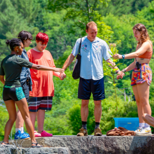 Rowe Summer Camp Task Force The Rowe Center