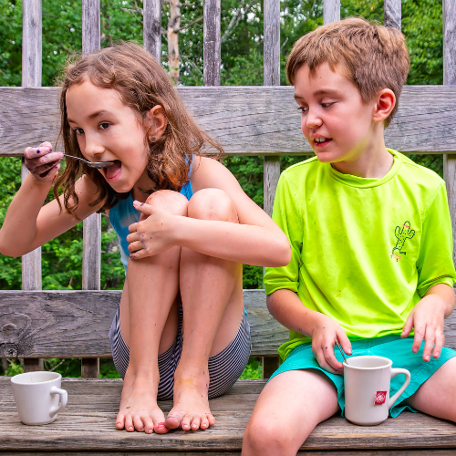 Rowe Summer Camp Task Force The Rowe Center