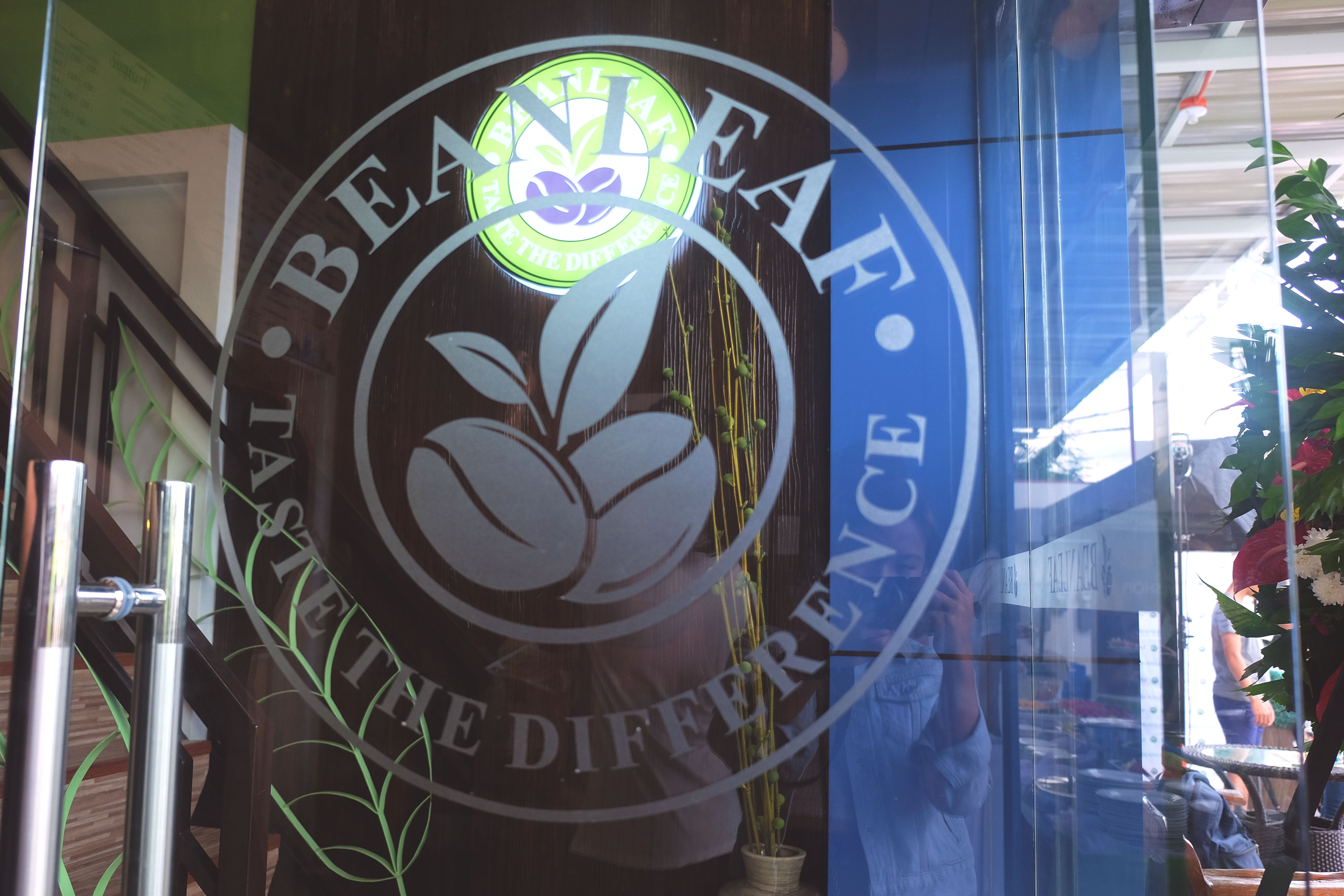 Bean Leaf DavaoTorres Branch Sweetroxieee by Roxanne Lacap