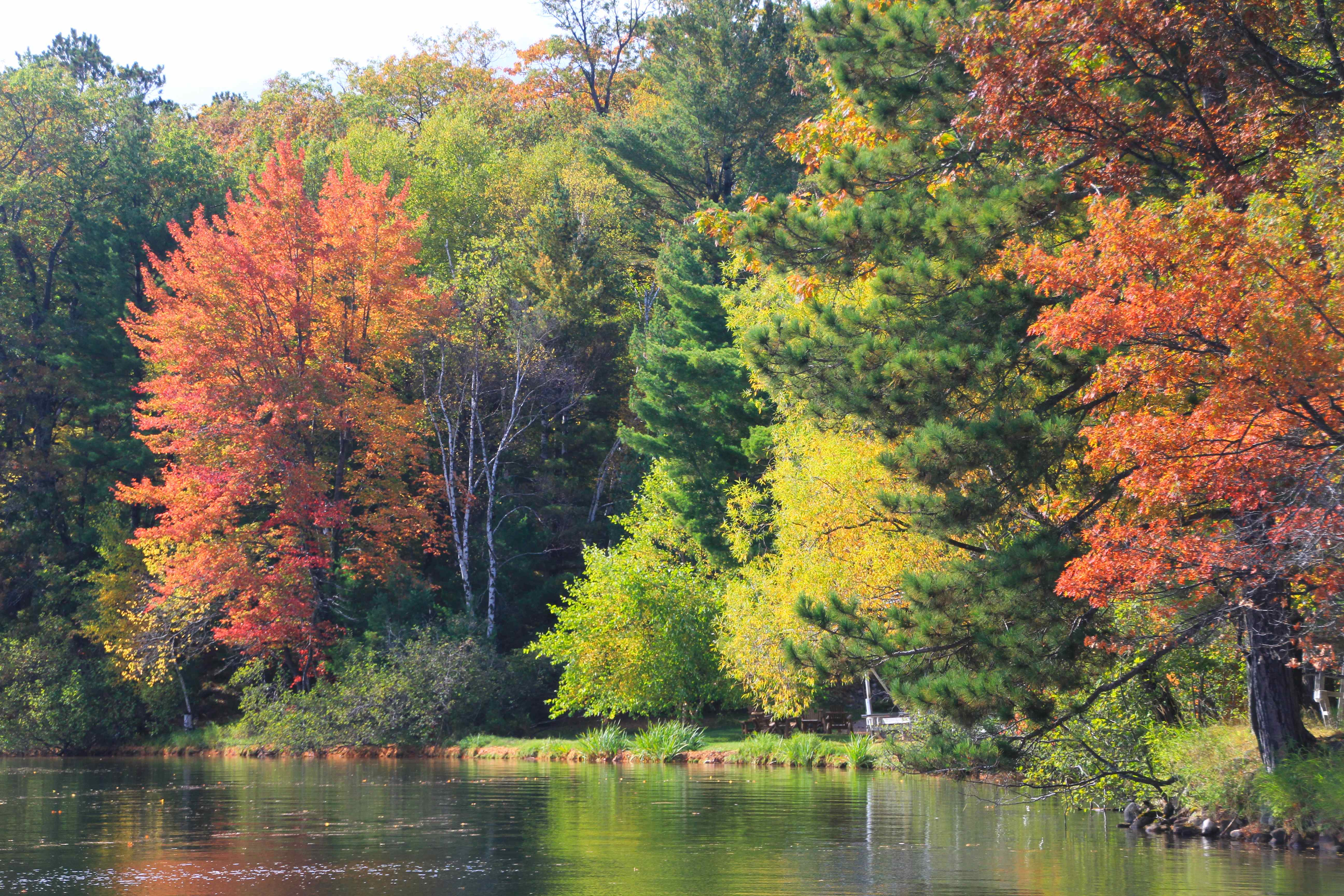 Fall colors in Wisconsin...and time with good friends Roxanne Rustand