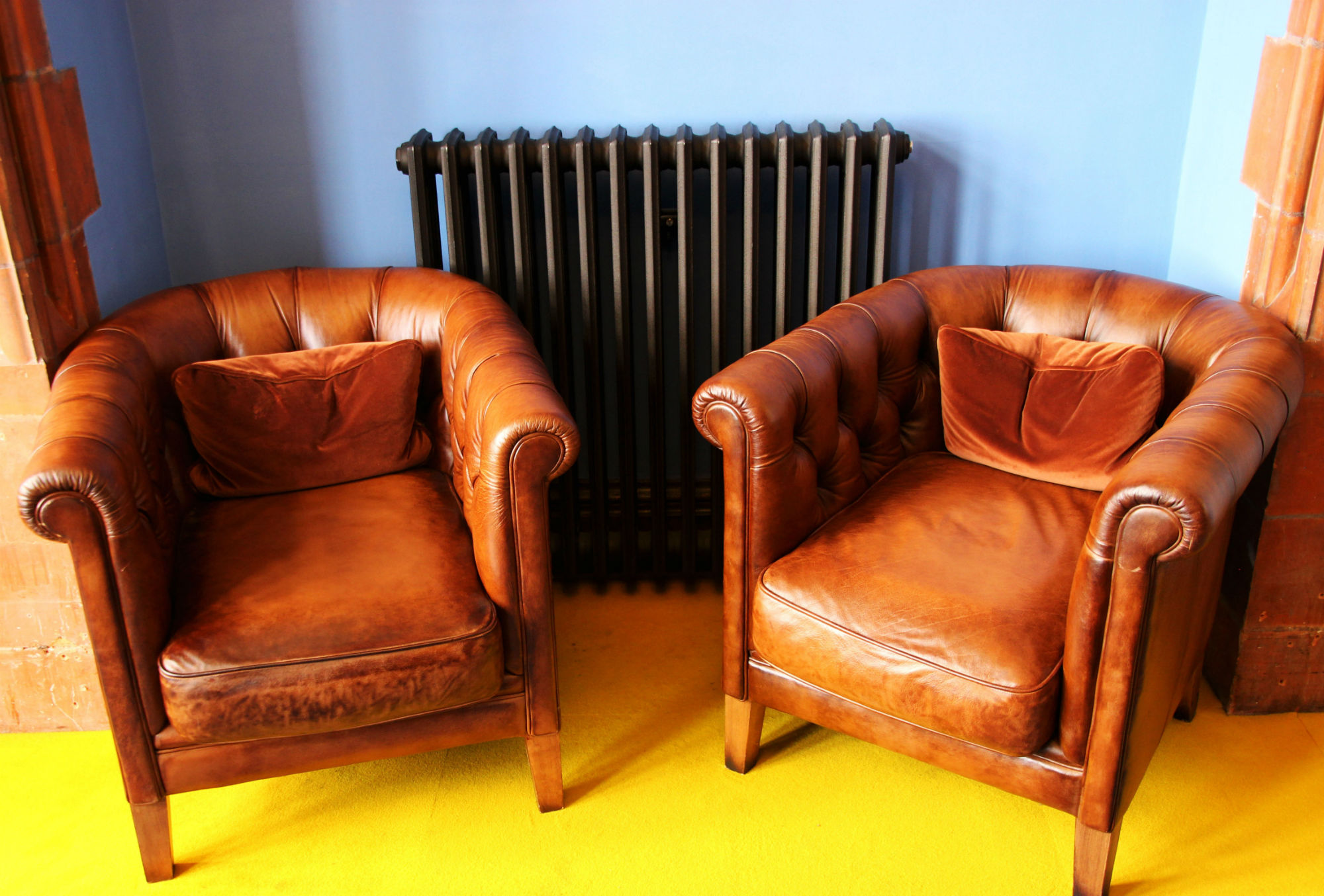 Two Leather Chairs that Could have Bed Bugs in them Rox Bugs