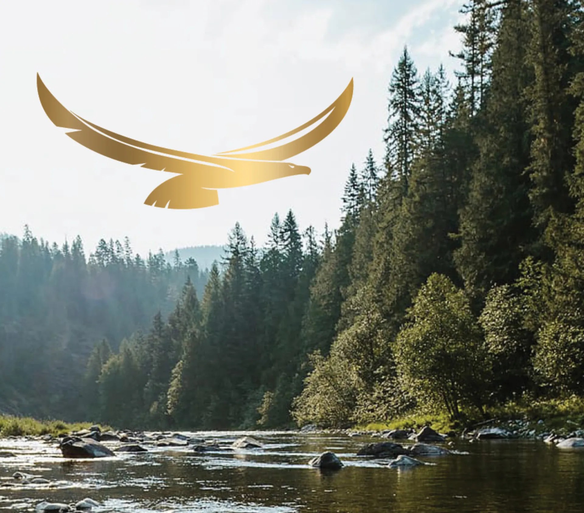 Bald Eagle Point Roxburgh Brand Marketing Agency