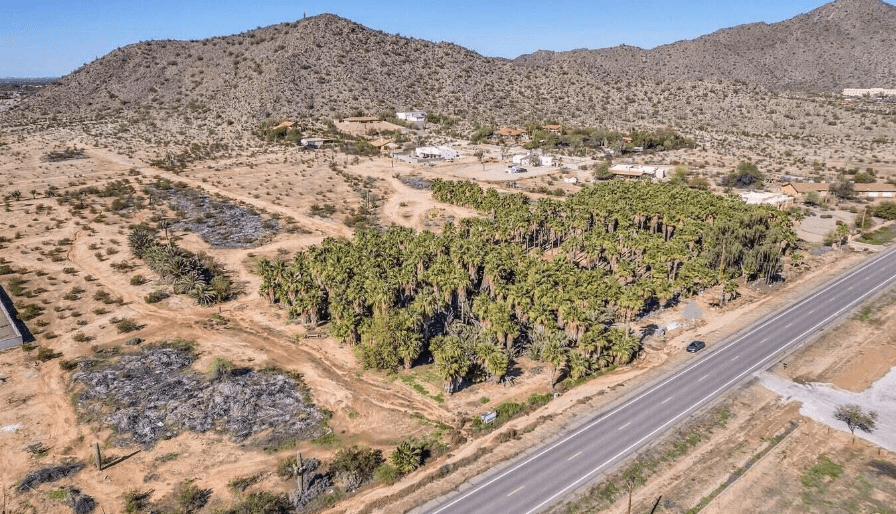 Palm Tree Grove located on Overfield Rd just south of CAC is Sold ROX