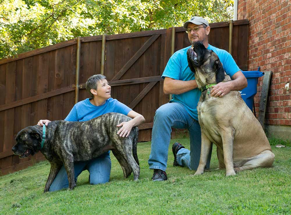 Pet Sitting Rowlett, Rockwall, Wylie Roxie's Pet Sitting