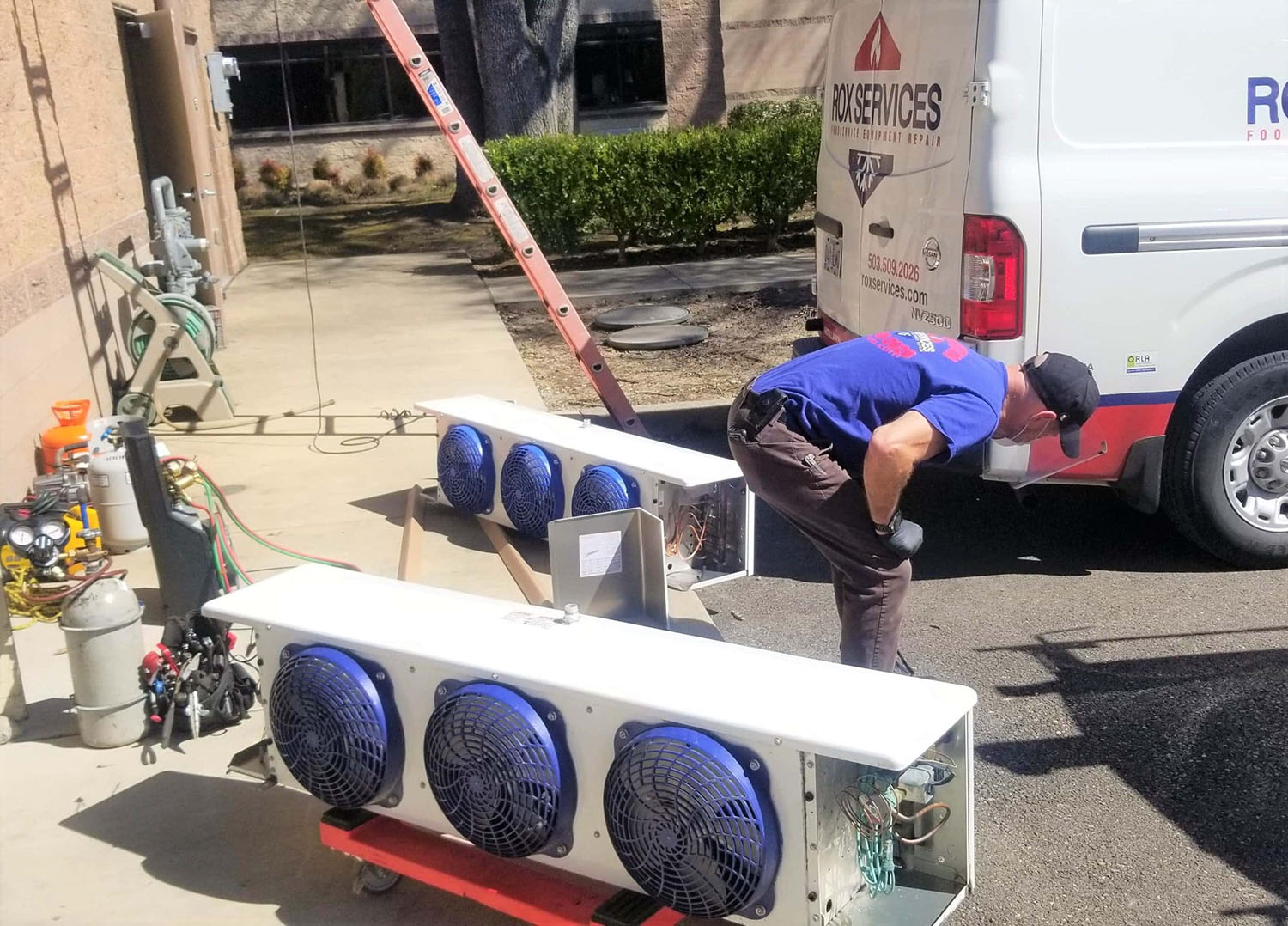 Commercial Cooler Troubleshooting Quick Fixes And Expert Repairs