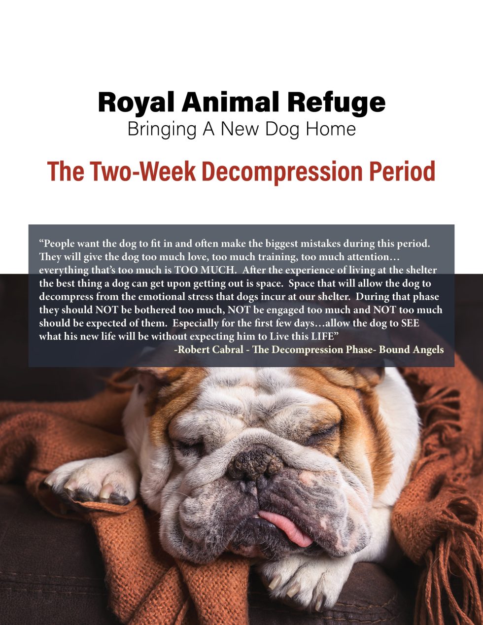 Resources Royal Animal Refuge