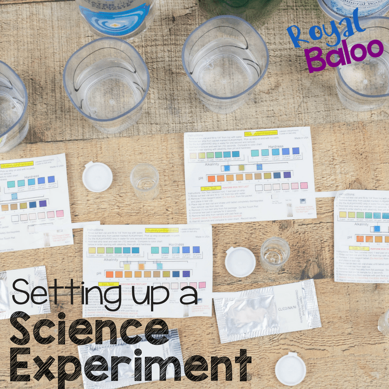 Setting Up a Science Experiment with Water Testing Kits → Royal Baloo