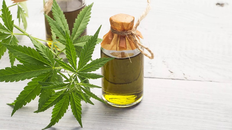 Does CBD Show Up on a Drug Test? Royal CBD