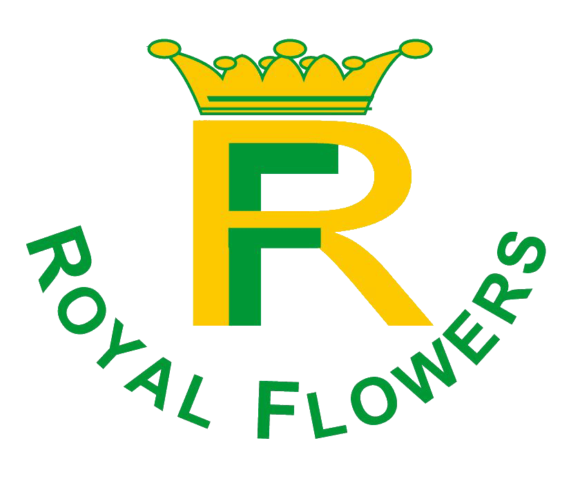 Royal flowers Vos meilleurs fleurs et services d'aménagements de vos