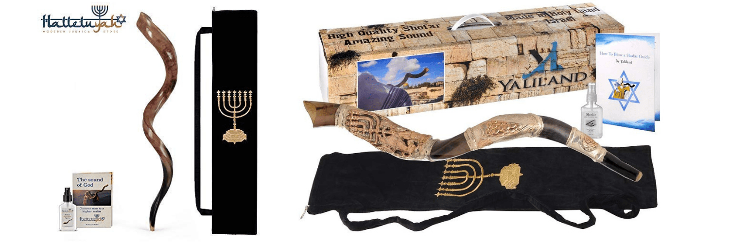 Shofar For Sale Kudu Kosher Horn Royal Girlz Ministry