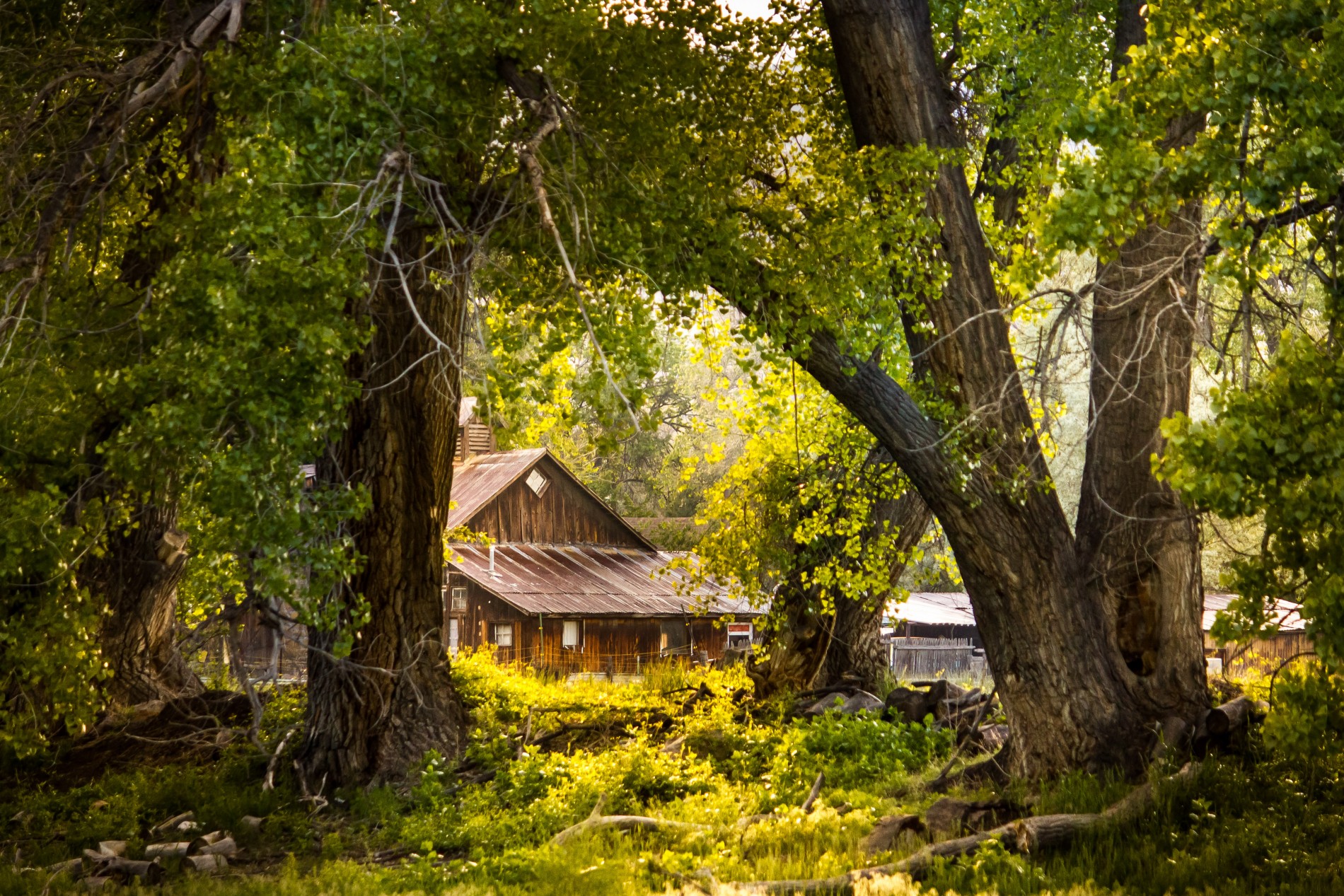 Introduction to Fremont County, Colorado Heritage, + Natural History