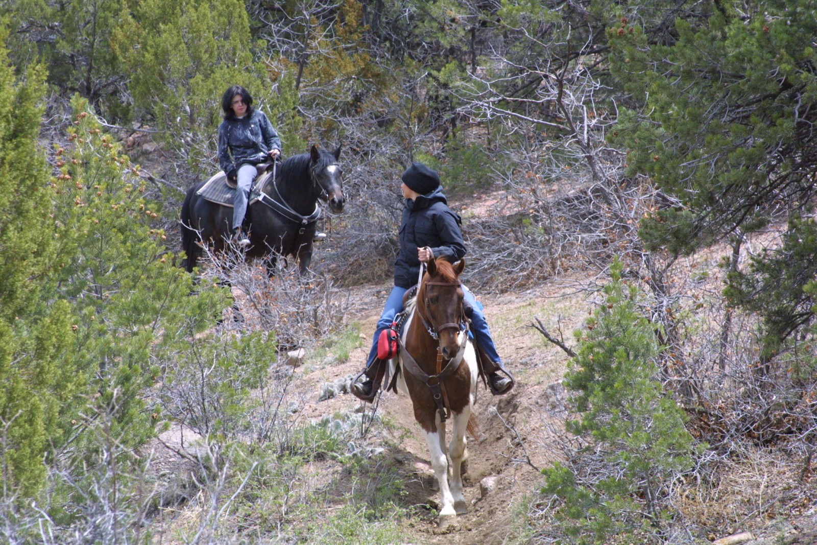 Horseback Riding Trails Around the Royal Royal Region