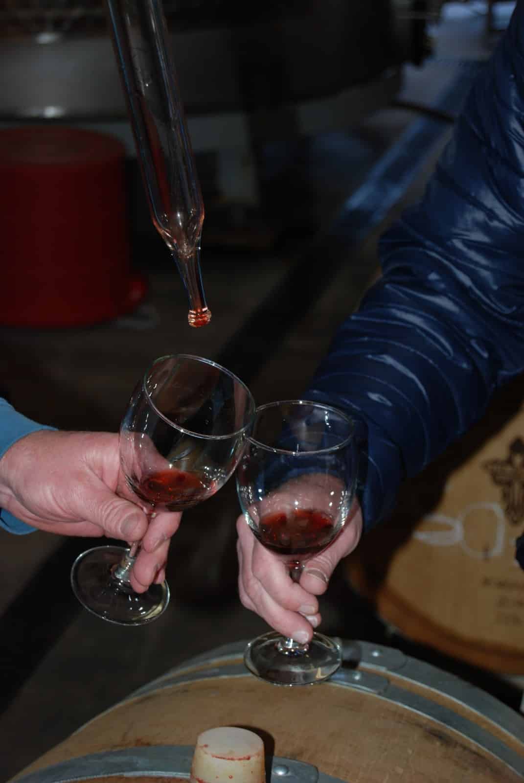 Winery at Holy Cross Abbey Royal Region