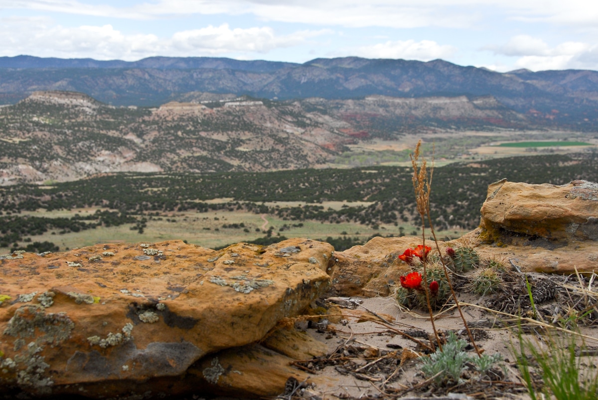 Howard, Colorado SelfGuided Tour Royal Region