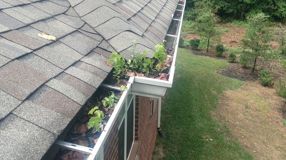 Leaf Filter Gutter Guards Protection Portland Royal Gutters
