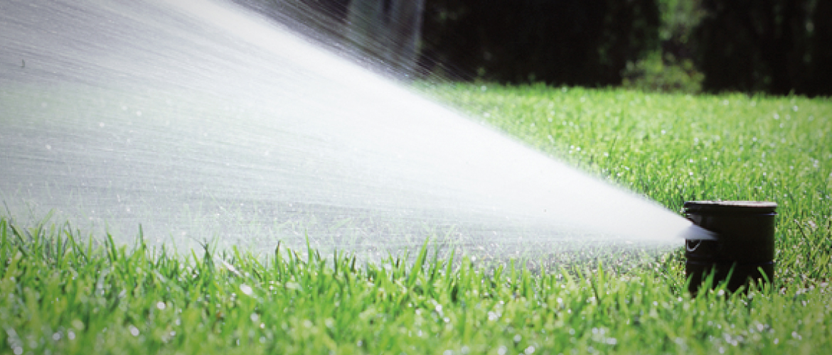 House Kingdom irrigation