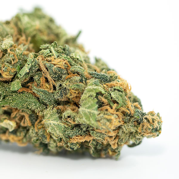 Hempstar Strain Information Royal King Seeds Feminized