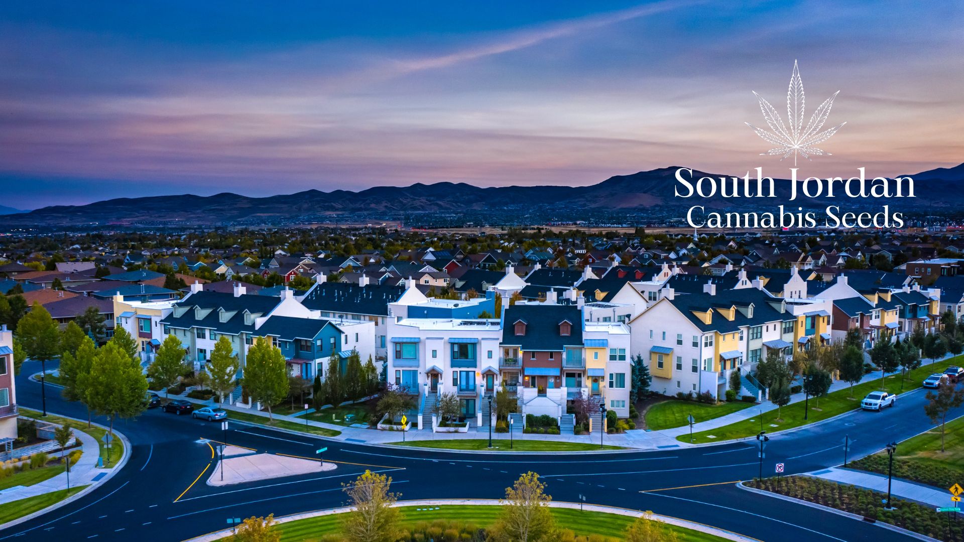 Buy Cannabis Seeds in South Jordan, Utah Royal King Seeds Feminized