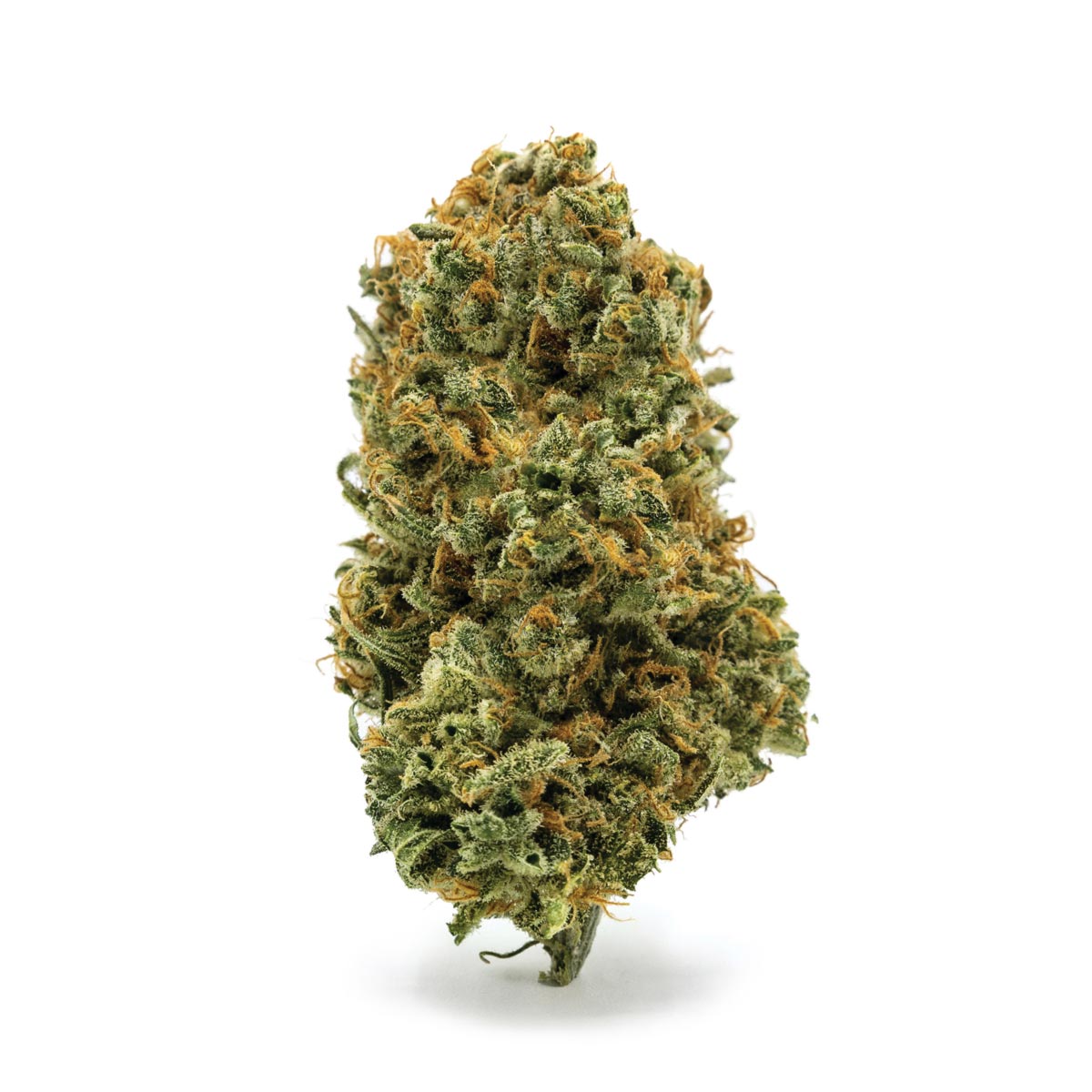 Crown Royale Strain Information Royal King Seeds Feminized