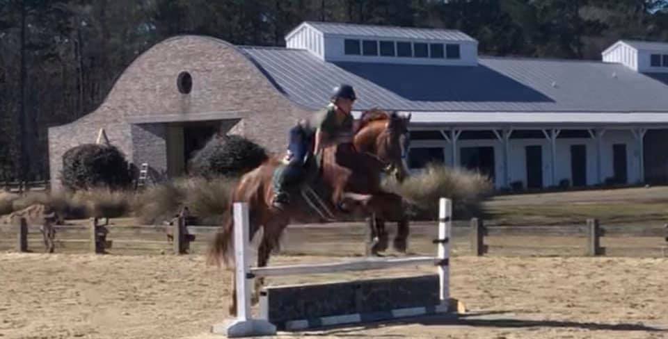 Lessons Royal Oaks Equestrian