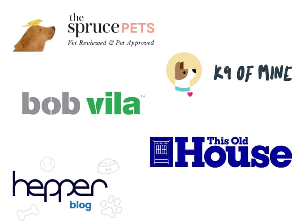 Best Pet Transport Company Reviews Royal Paws