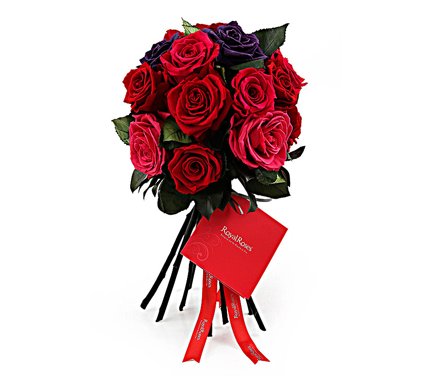 FP4R2188 Royal Roses