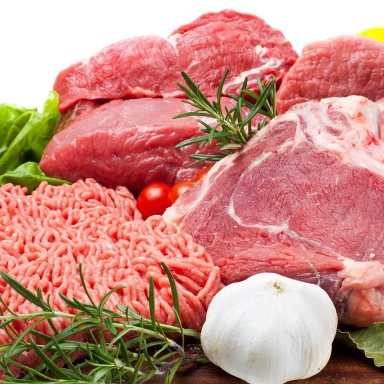 Food for Scottish Fold / Stright Cats Royal Scottish Fold Cattery