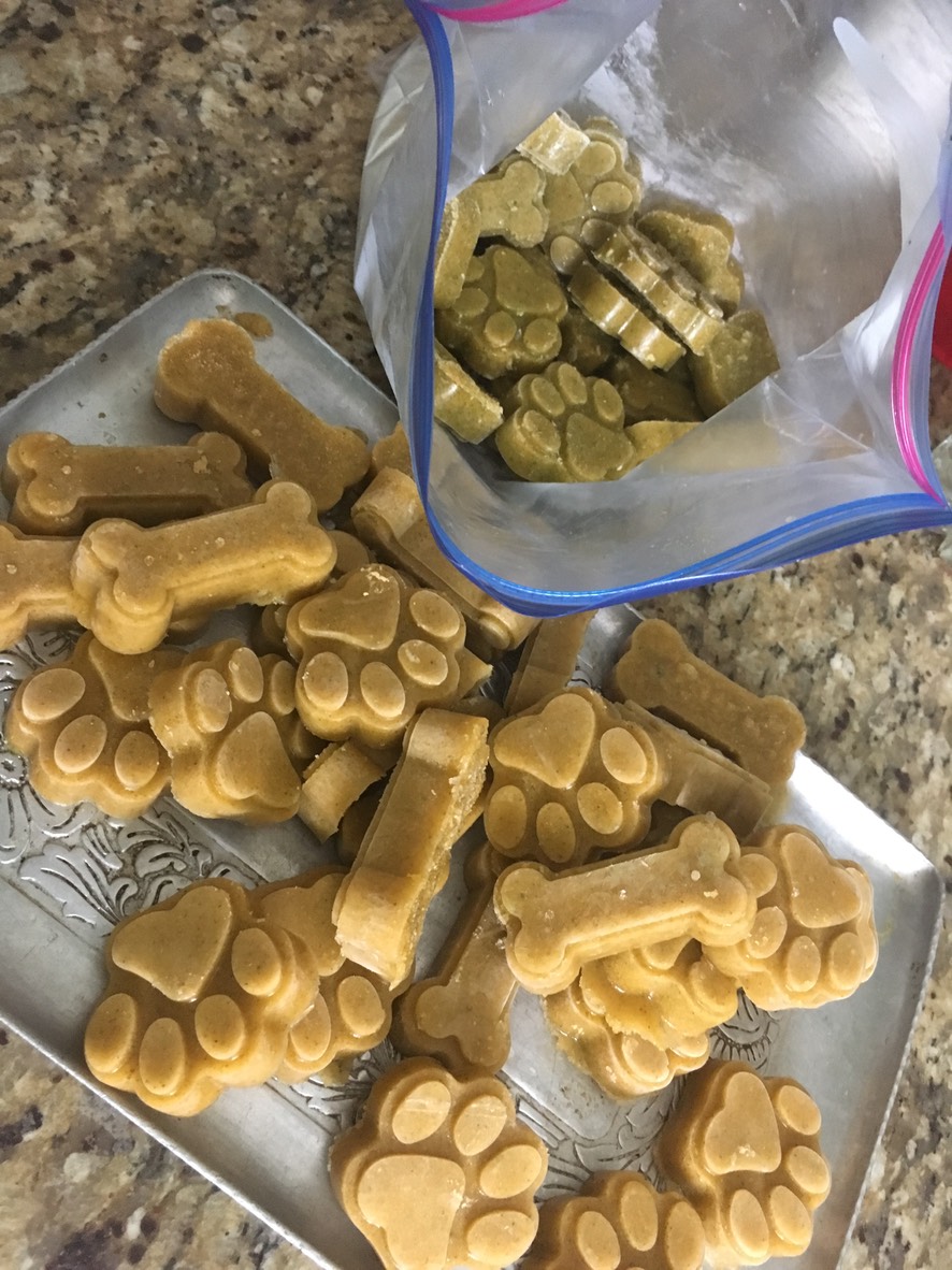 DOG FOOD LynWood Cavalier King Charles Spaniels Linda Baird