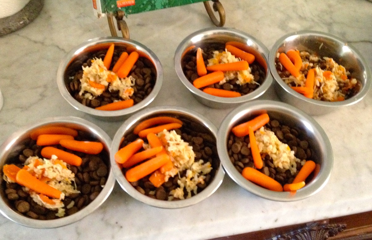 DOG FOOD LynWood Cavalier King Charles Spaniels Linda Baird