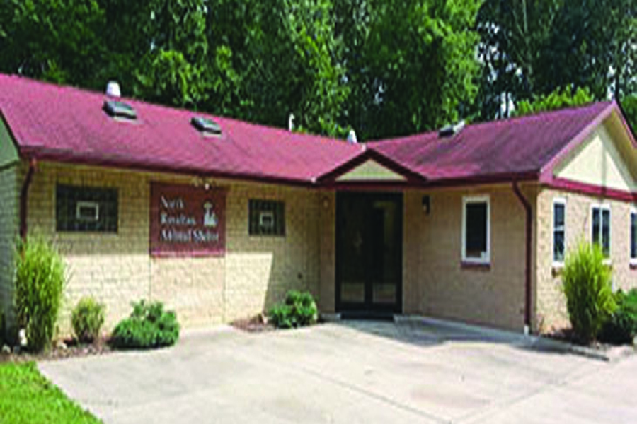 Royalton Recorder Animal Shelter specializes in animal care and control
