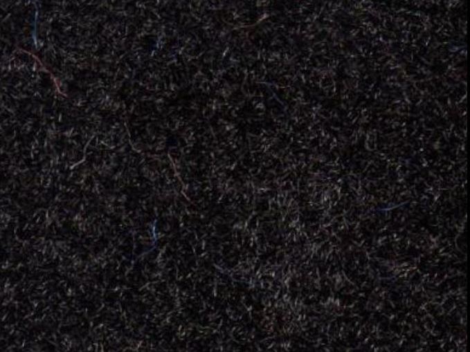 Bayshore Marine Carpet Black Royal Upholstery