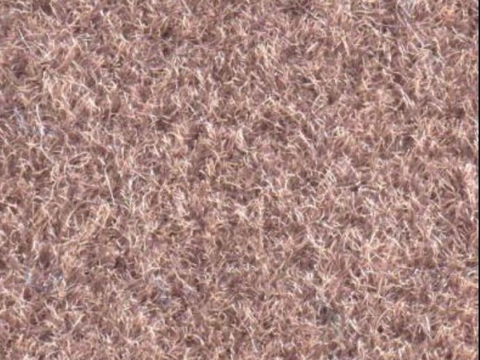Bayshore Marine Carpet Sand Royal Upholstery