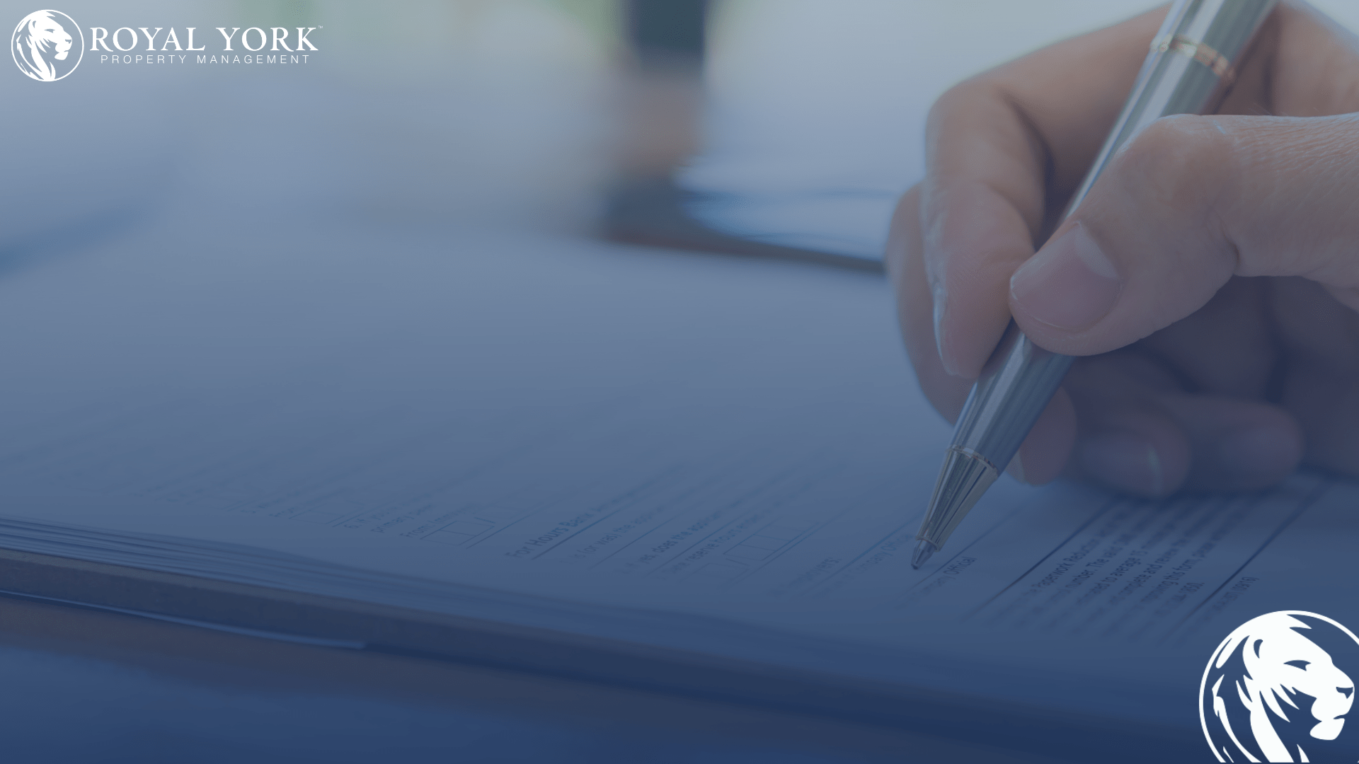 Navigating the World of Rentals Royal York Property Management's