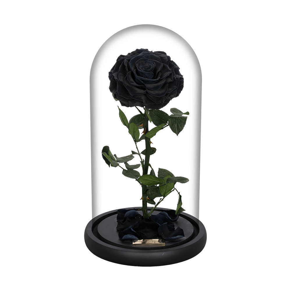 LA ROSE NOIR Royaume des Fleurs