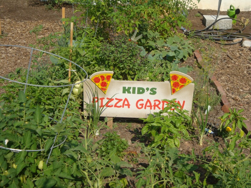 Mosaic Community Garden Pottstown’s Hidden Jewel On Chestnut Street
