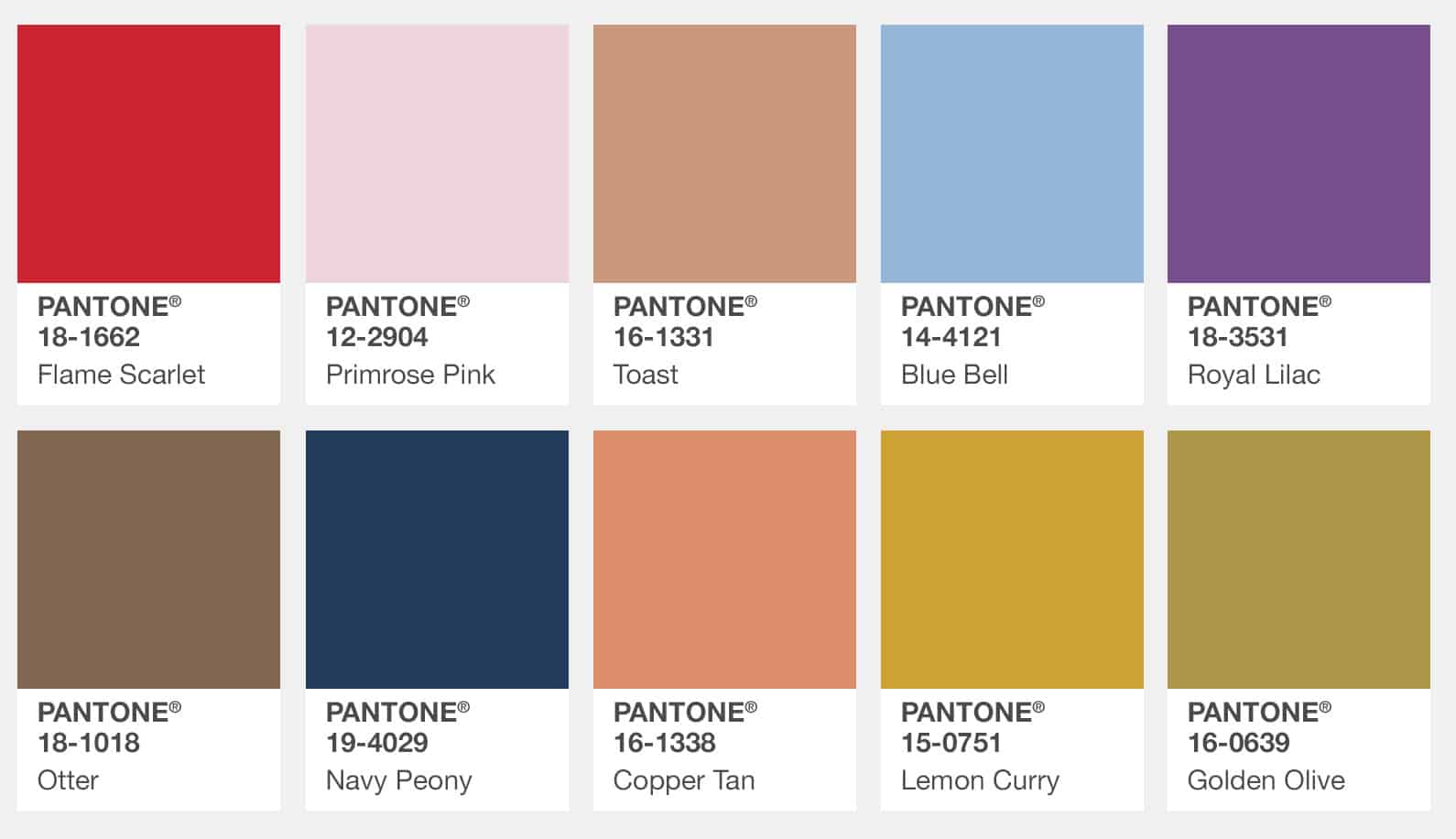 What is the Pantone Color Matching System (PMS)?