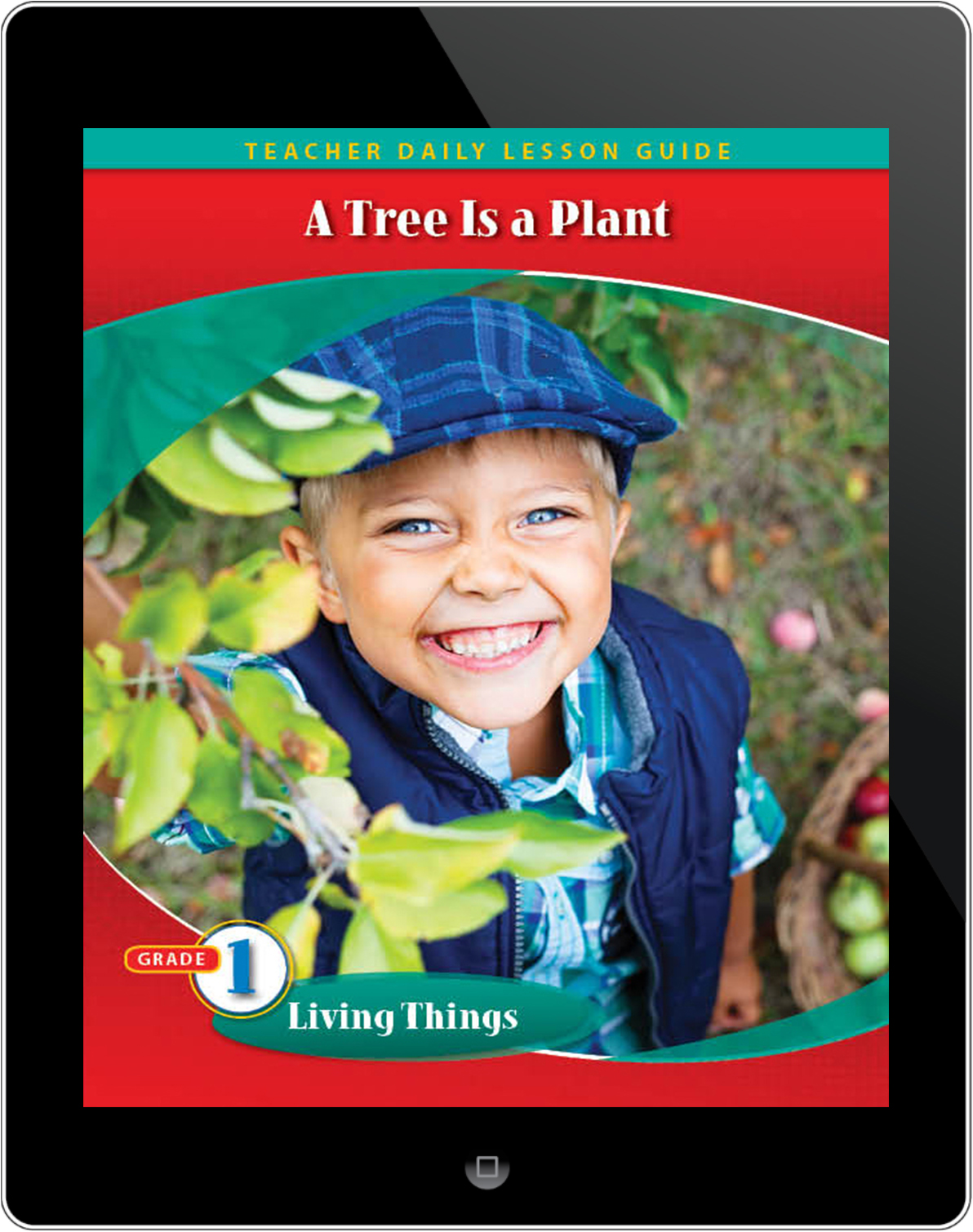 Pathways2.0 Grade 1 Living Things Unit A Tree Is a Plant Daily Lesson