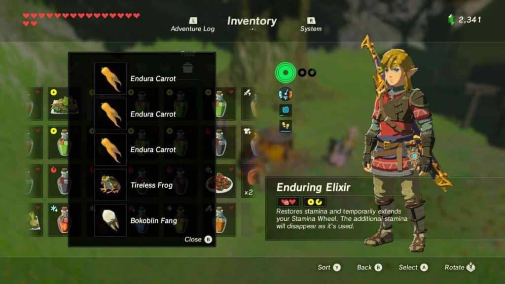 5 Best Stamina Elixirs in BotW (2024 Guide) RPG Overload