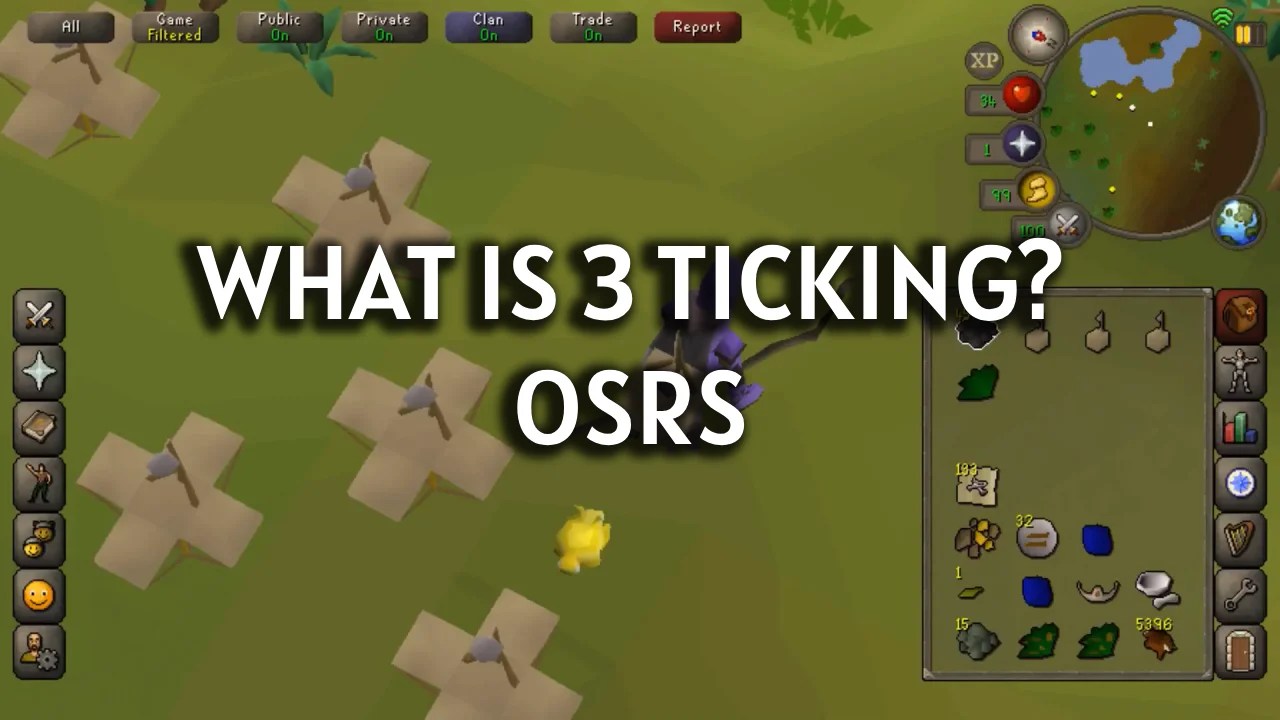 Cheapest OSRS Gold & Accounts rProGP