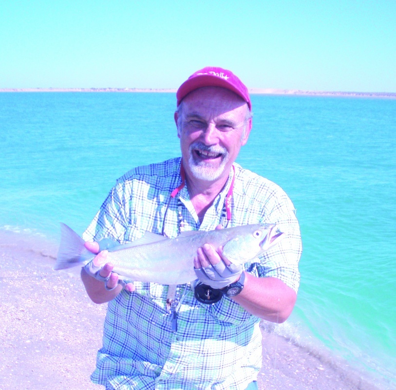 FLY FISH PUERTO PEÑASCO Rocky Point Times Newspaper